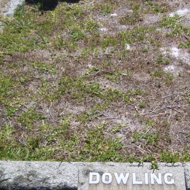 DOWLING