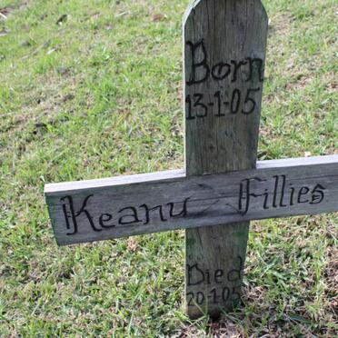 FILLIES Keanu 2005-2005