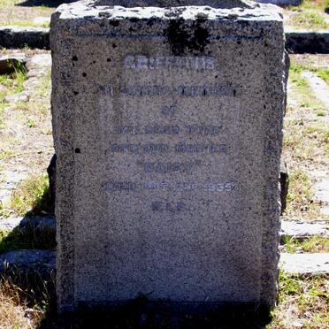 GRIFFITHS Daisy -1935