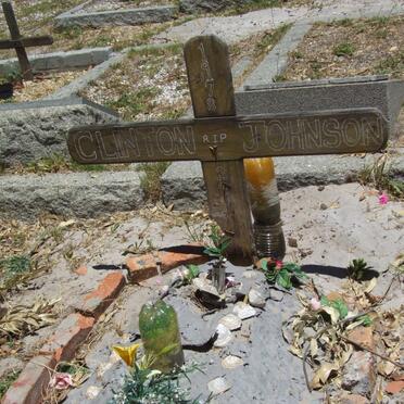 JOHNSON Clinton 1978-2004