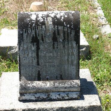 KRITZINGER Japie 1900-1932