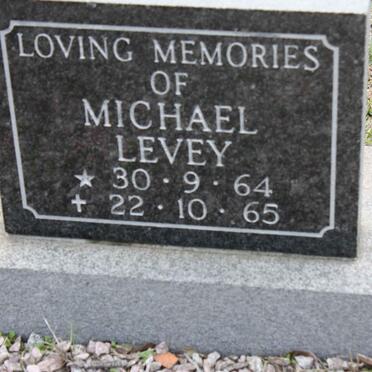 LEVEY Michael 1964-1965