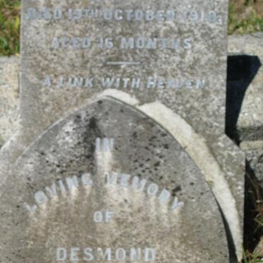 MCMEEKAN Desmond -1918