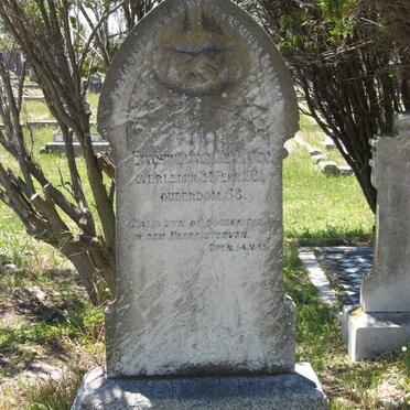 MERWE Erasmus ?, van der -19?1