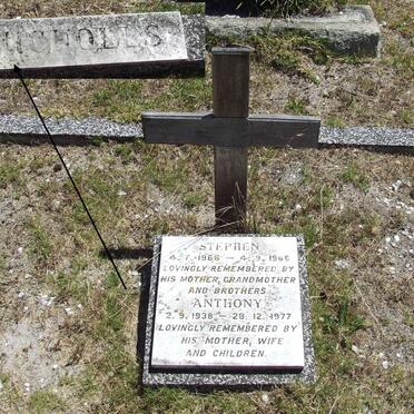 NICHOLLS Anthony 1938-1977 :: NICHOLLS Stephen 1966-1966