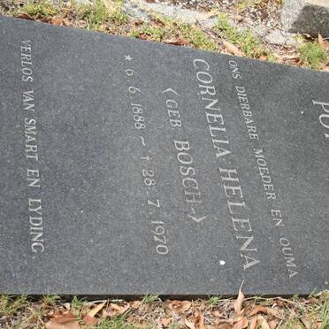 POTGIETER Cornelia Helena BOSCH 1888-1970