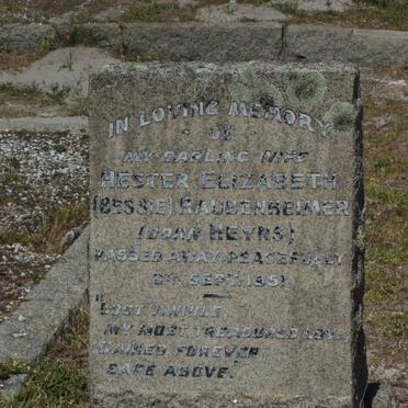 RAUBENHEIMER Hester Elizabeth nee HEYNS -1951