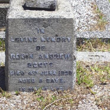 SCOTT Robin Andrew 1956-1956