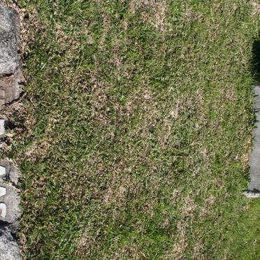 VERMAAS Ann 1934-1941