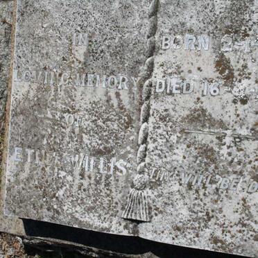 WILLIS Ethel 1881-1957