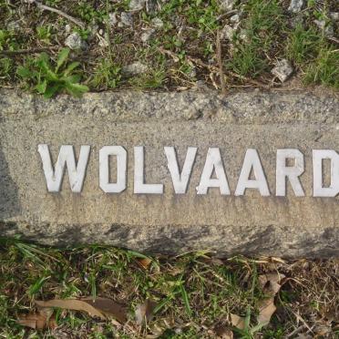 WOLVAARD Petrus Francois 1924-1951