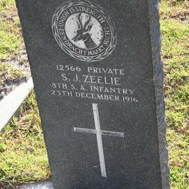 ZEELIE S.J. -1916