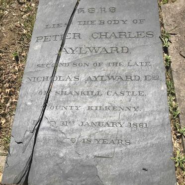 AYLWARD Peter Charles -1861
