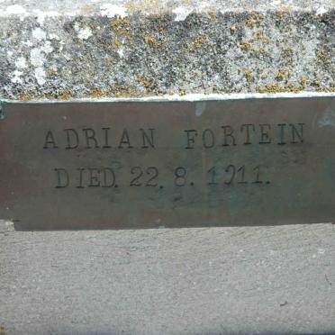 FORTEIN Adrian -1911