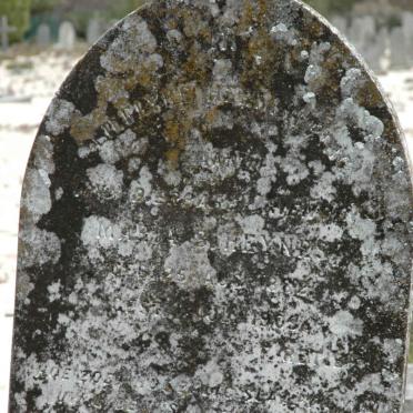 H - Vanne :: Surnames - H