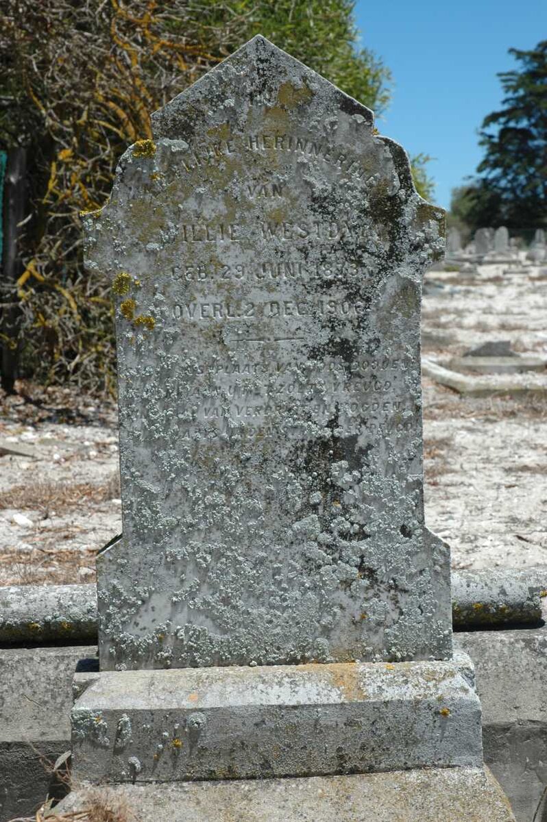 WESTDIJK Willie 1873-1906