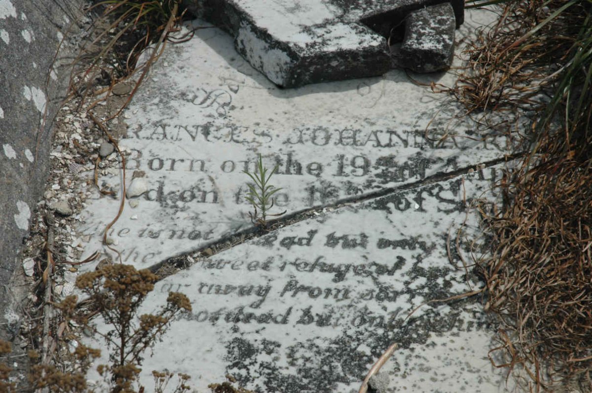 R??? Frances Johanna