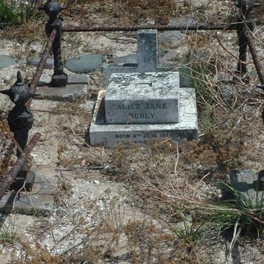 HURLY Alice Jane 1875-1890