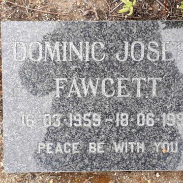 FAWCETT Dominic Joseph 1959-1996