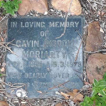 MORIARTY Gavin 1954-19?8