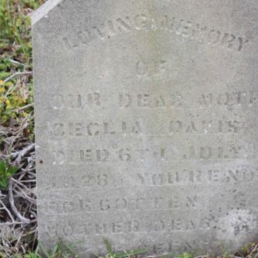 D - Vanne :: Surnames - D