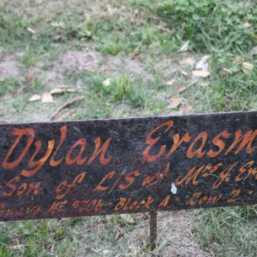ERASMUS Dylan