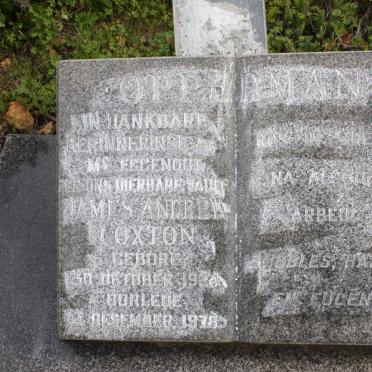 O - Surnames :: Vanne - O