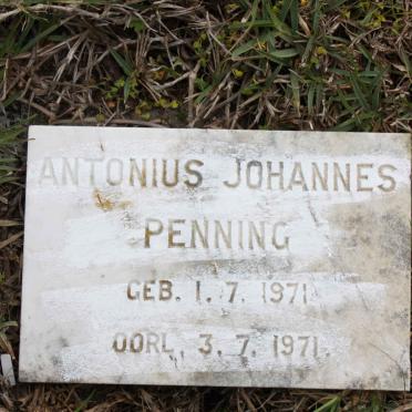 PENNING Antonius Johannes 1971-1971