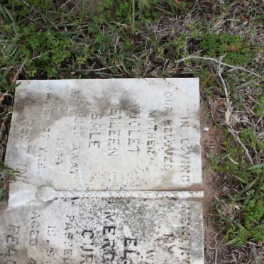 SALE Violet Eileen -1982 ::CURTIS Elsie Mercedes -19??