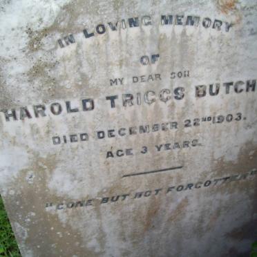 BUTCHER Harold Triggs -1903