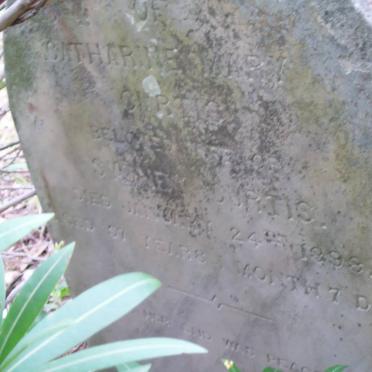 CURTIS Catherine Mary -1898