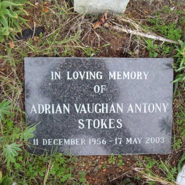 STOKES Adrian Vaughan Antony 1956-2003