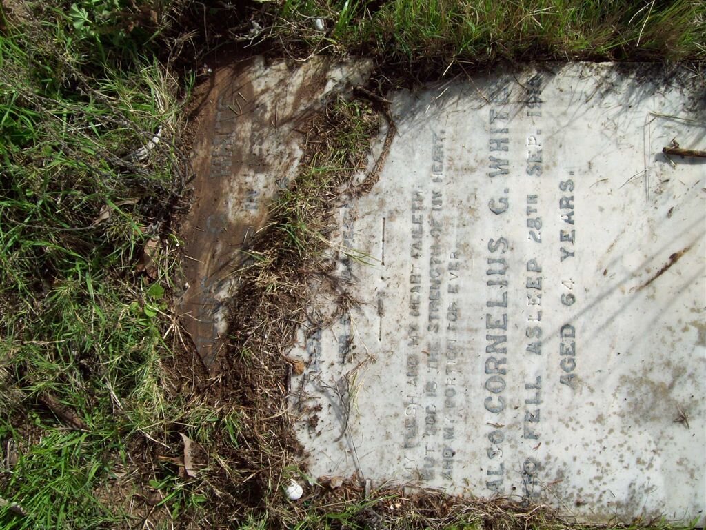 WHITE Cornelius G. -1916