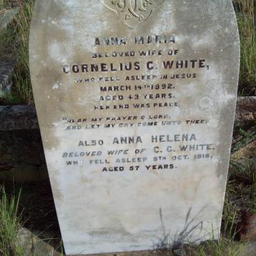 WHITE Anna Maria -1892 :: WHITE Anna Helena -1916