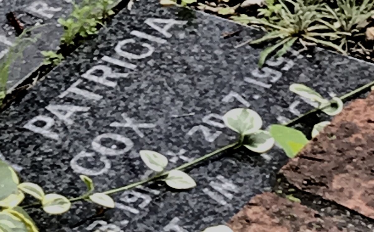 COX Mary Patricia 191?-1997