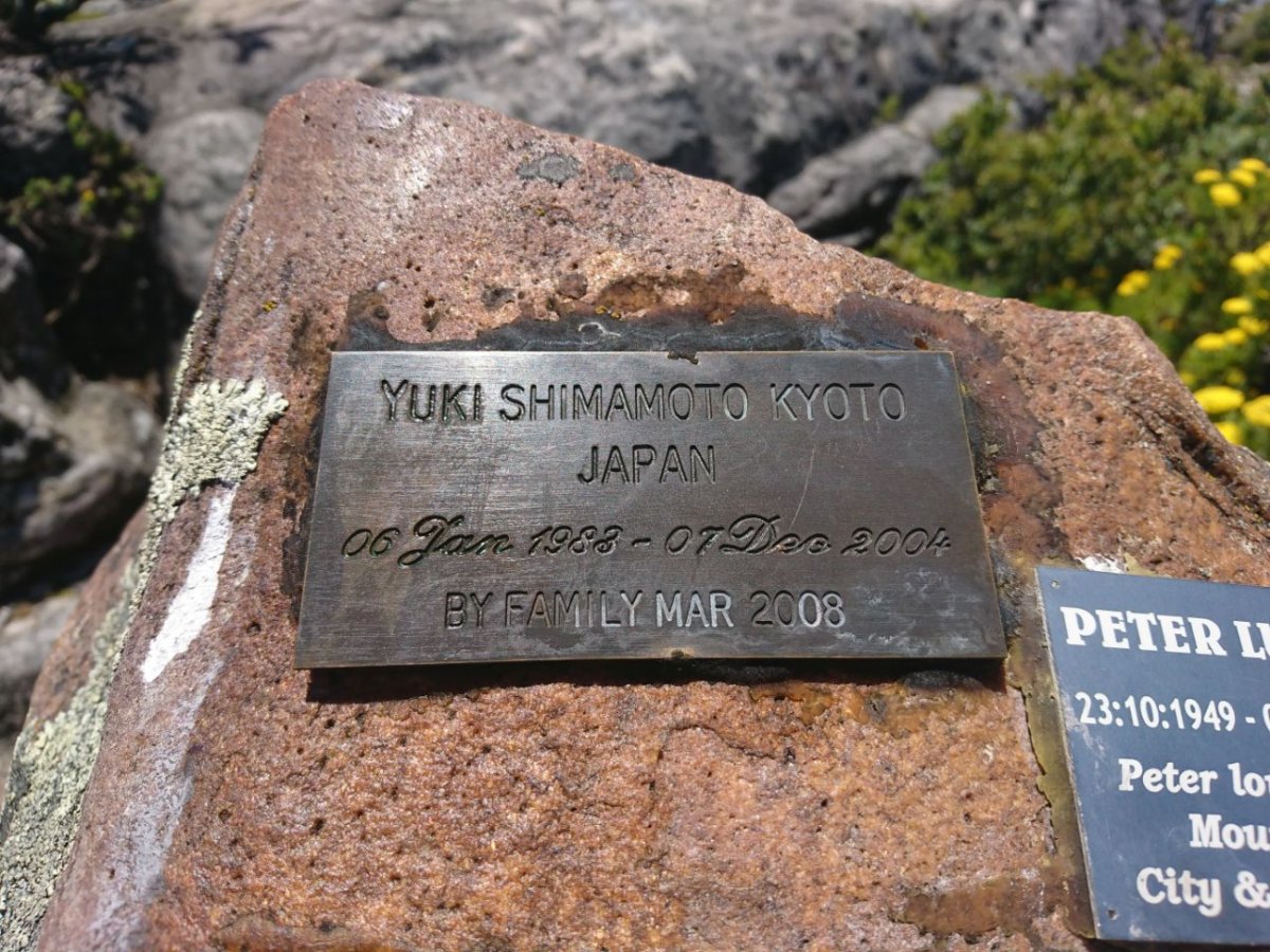 KYOTO Yuki Shimamoto 1983-2004