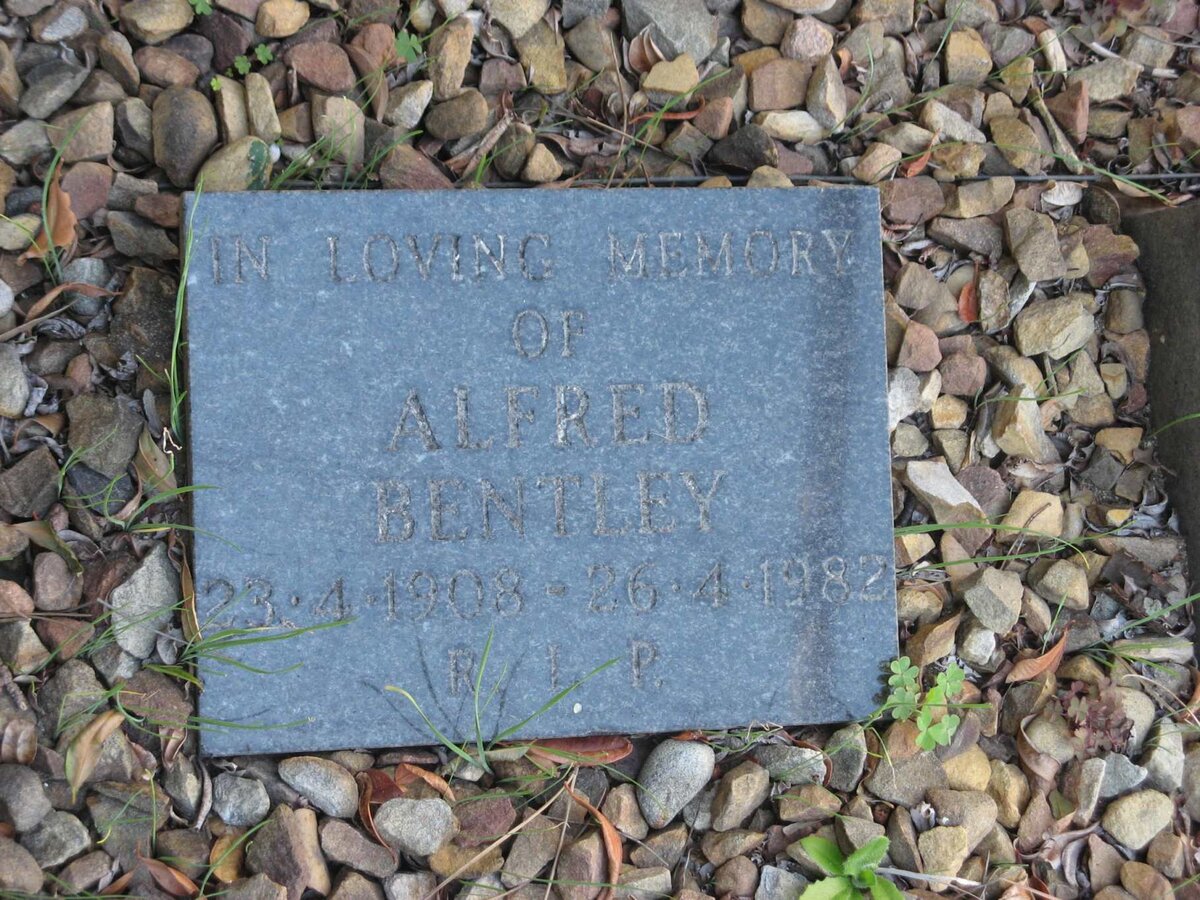 BENTLEY Alfred 1908-1982