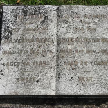 BIGGS Sylvester -1921 :: BIGGS Claude Sylvester -1937