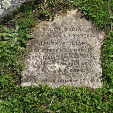 COOK Ellen Maria -1894 :: COOK James William -1894