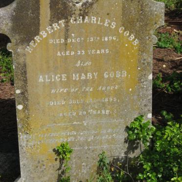 COBB Herbert Charles -1896 &amp; Alice Mary -1895