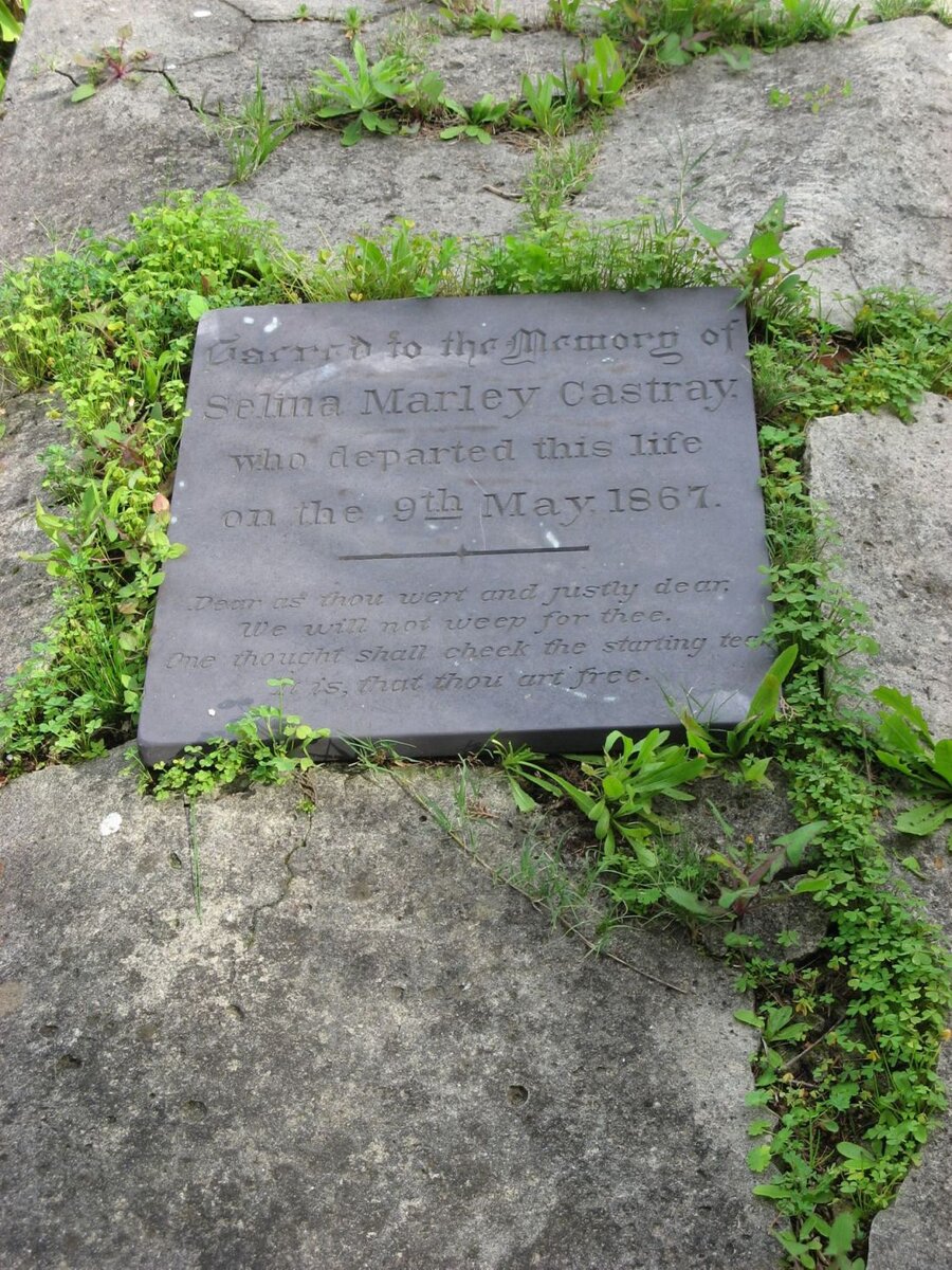 CASTRAY Selma Marley -1867