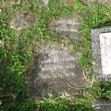 FITZGERALD ? -1908 :: FITZGERALD ? nee JACKSON 1880-19?4