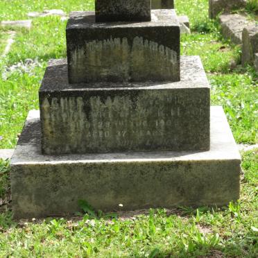 FLACK Agnes nee WILLIS -1909