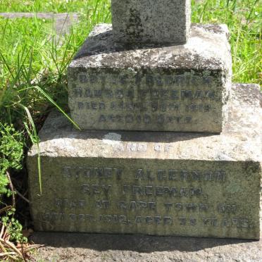 FREEMAN Sydney Algernon Sey -1918 :: FREEMAN Boyce Frederick Hanson -1918