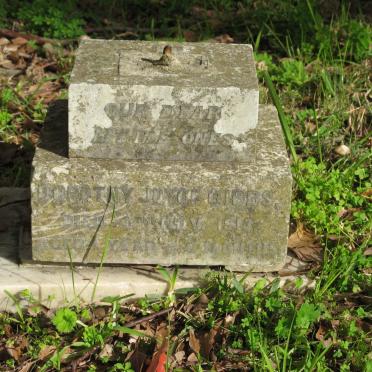 GIBBS Dorothy Joyce -1913