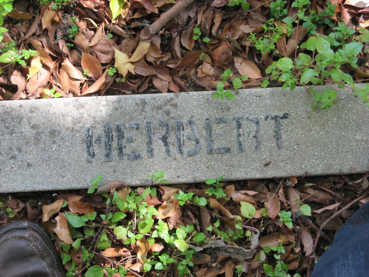 HERBERT