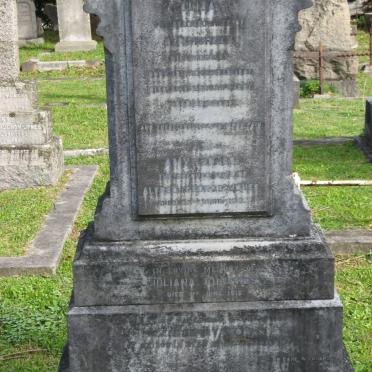 HURLEY Eliza :: JONES Amy -19?? :: BUYSKES Juliana -1916 :: DYASON George