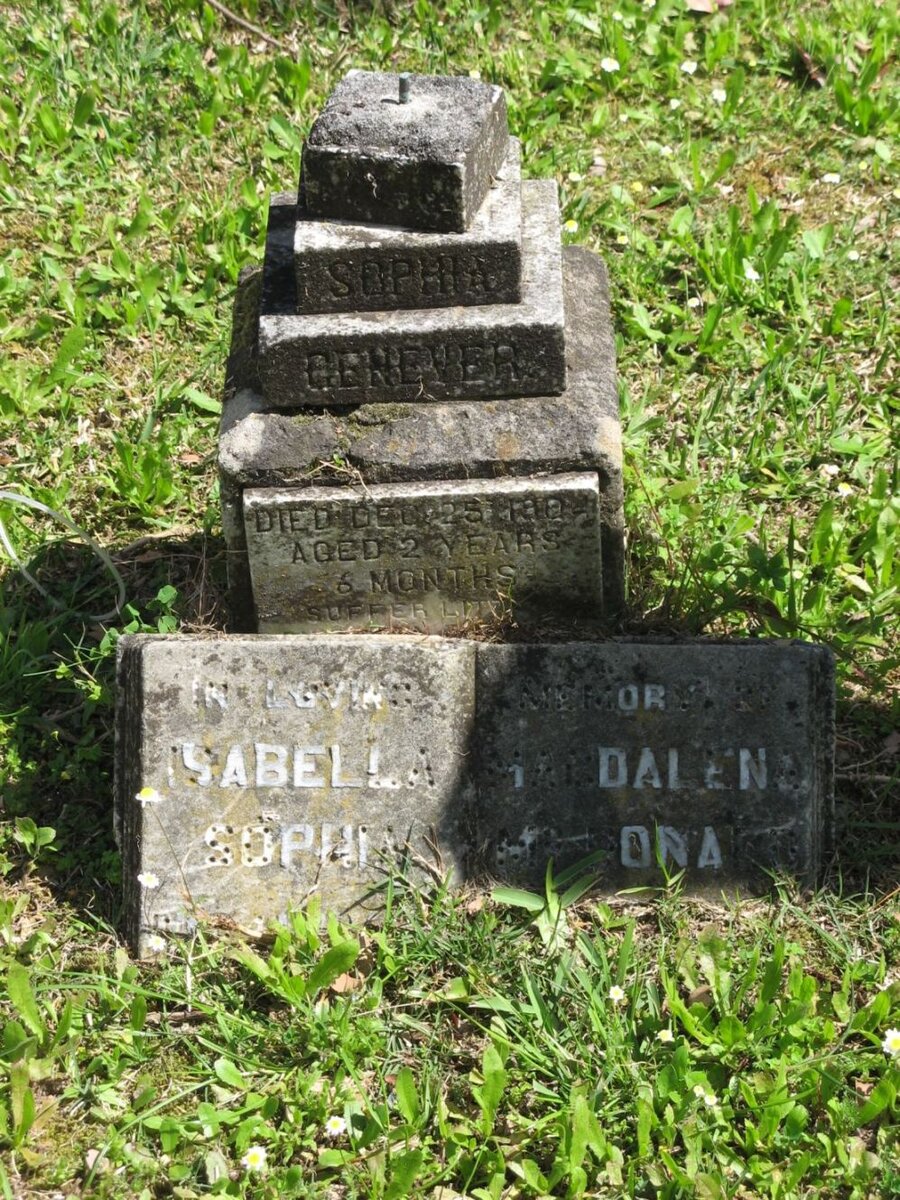 McDONALD Isabella Magdalene Sophia :: ? Sophia Genever -1904