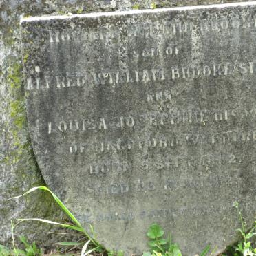 SMITH Howard R??and Brooke 1882-1882