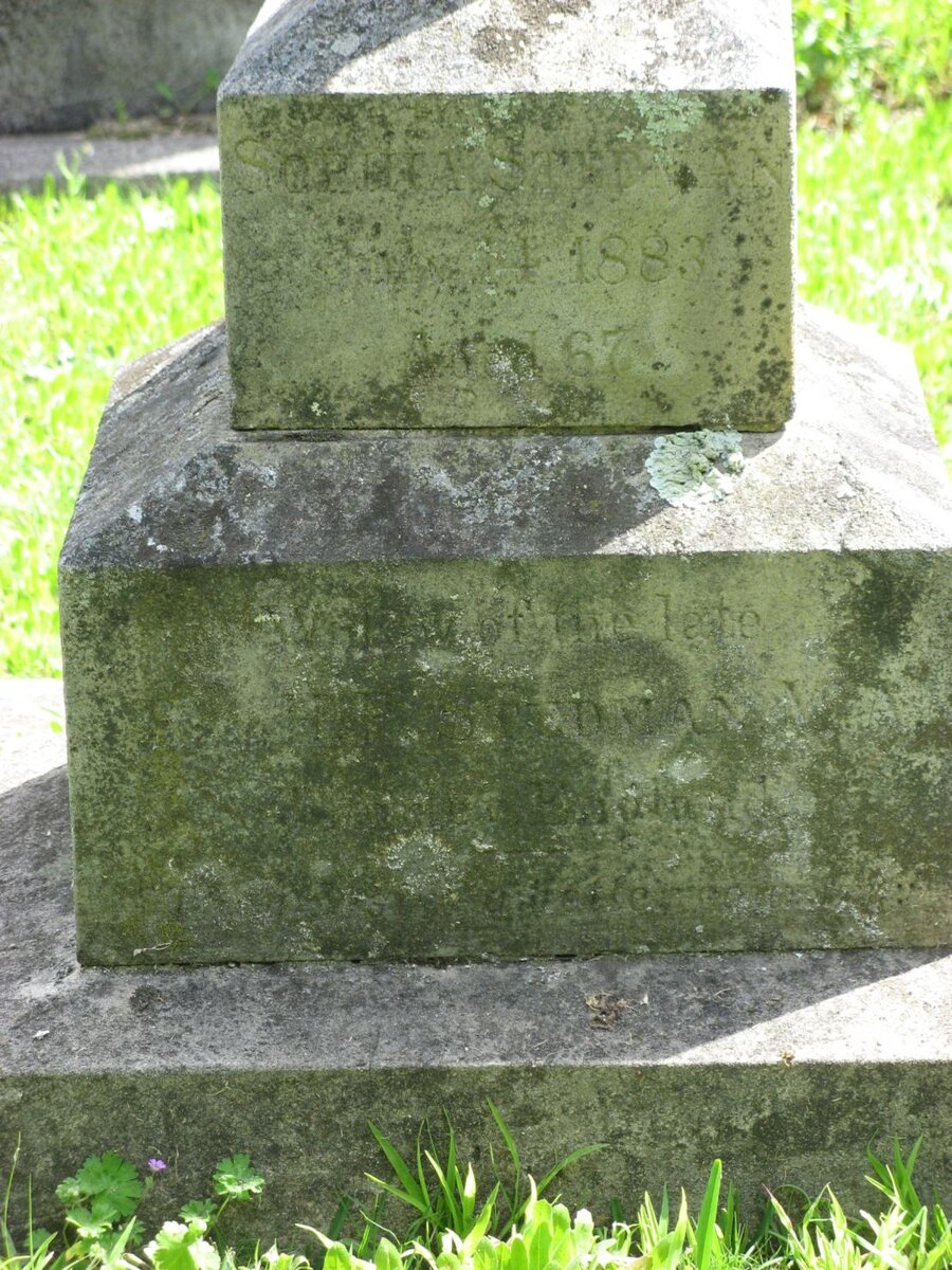 STEDMAN Sophia -1883